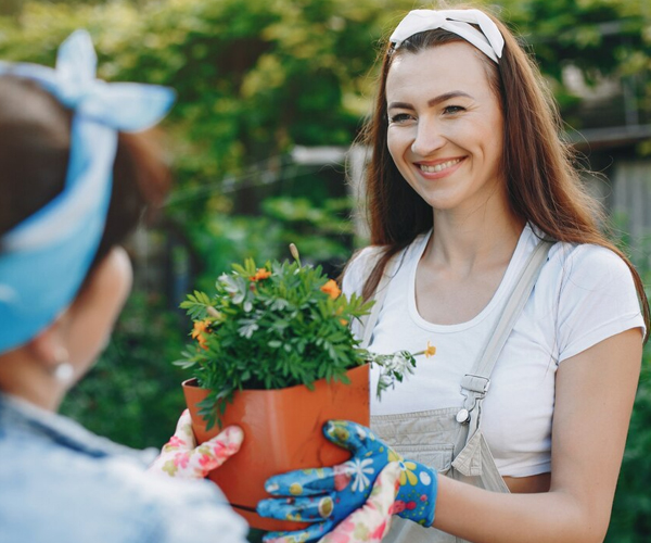 NDIS Gardening Services Canberra for safe outdoor maintenance