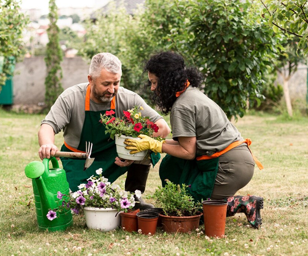 NDIS Gardening & Lawn Care Canberra by experienced professionals
