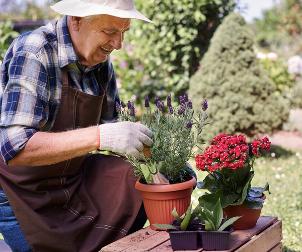 NDIS Gardening Support Canberra for reliable garden maintenance