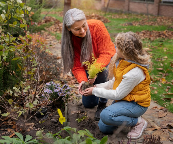 NDIS Gardening Services Canberra with lawn mowing and garden care